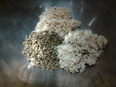 Cooked Grains